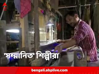 Bankura: বালুচরি শাড়ি শিল্পীদের জিআই তকমা, শিল্পে জোয়ার আসবে?