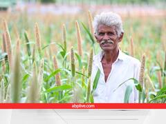 इस साल मोटे अनाजों की खेती से बढ़ जाएगी यूपी के किसानों की आमदनी, सरकार का है ये प्लान