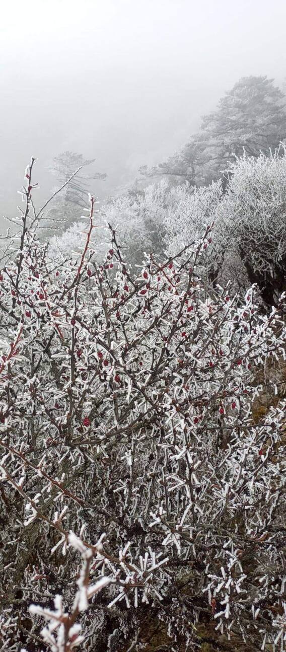 বর্ষশেষে তুষারে ঢাকা লাচুং - লাচেন