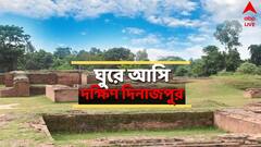 কান পাতলে উঠে আসে পুরাণ-ইতিহাস, শহর থেকে কিছু দূরে, দঃ দিনাজপুরের এই জায়গাগুলি না দেখলেই নয়