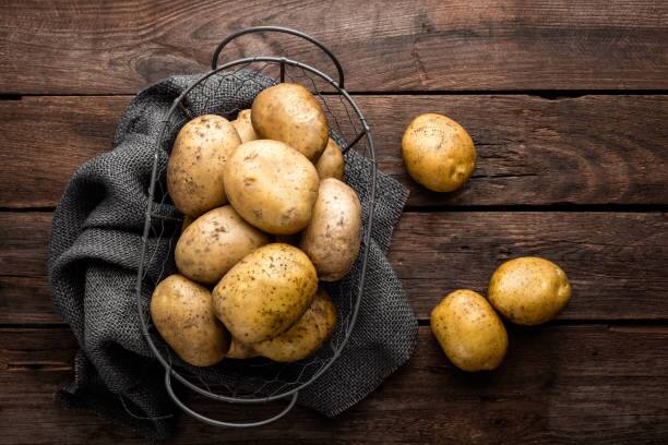 potato which is put in every vegetable is not indian know potato history origin information Potato History : प्रत्येक भाज्यांमध्ये दिसणारा बटाटा मूळचा भारतातील नाहीच, 'या' देशातून आला भारतात