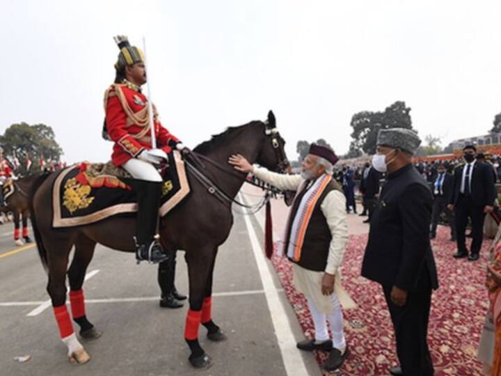 ये तस्वीर पूर्व राष्ट्रपति रामनाथ कोविंद के अंगरक्षक के घोड़े की है. इस घोड़े का नाम विराट है और पीएम मोदी इसे विदाई दे रहे हैं.