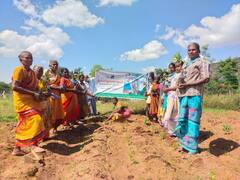 நம்மாழ்வார் நினைவு நாள்; 2 லட்சம் மரக்கன்றுகள் நடவு செய்யும் காவேரி கூக்குரல் இயக்கம்..!