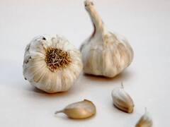 Diabetes Control: अशा प्रकारे लसणाचे सेवन करा, मधुमेह नियंत्रणात राहील