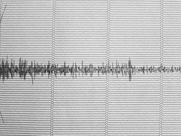 Earthquake Himachal Mandi Earth shook last day  2022 intensity measured 2.8 Earthquake in Mandi: साल के अंतिम दिन हिमाचल में हिली धरती, रिक्टर स्केल पर 2.8 मापी गई तीव्रता