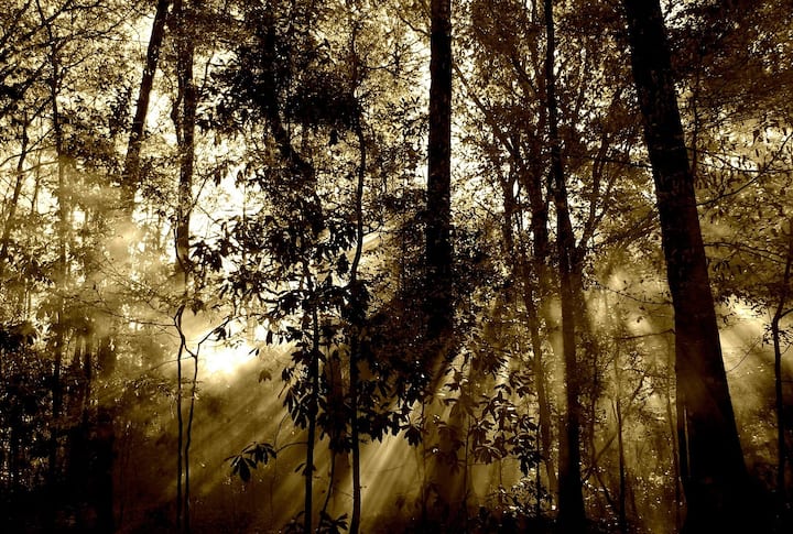 ”சென்னை: அடுத்த 24  மணி நேரத்திற்கு வானம் ஓரளவு மேகமூட்டத்துடன் காணப்படும்”- வானிலை மையம்