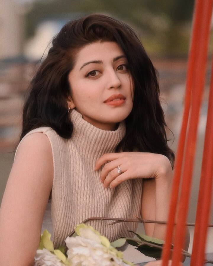 ఏం పిల్లో ఏం పిల్లడో సినిమాతో హీరోయిన్ గా ఎంట్రీ ఇచ్చిన ప్రణీత తర్వాత పలు మూవీస్ లో నటించింది. పవన్ కళ్యాణ్ తో కలసి నటించిన 'అత్తారింటికి దారేది'ఆమెకు మంచి పేరు సంపాదించిపెట్టింది. బాలీవుడ్ లో కొన్ని మూవీస్ లో నటించినా ఆశించిన స్థాయిలో గుర్తింపురాలేదు.