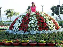 The Magnificient Flower Show At Ahmedabad Begins Today. See Pics