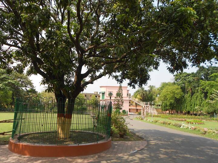 পারিজাত বৃক্ষকে-ই ‘কল্পতরু’ বলা হয়েছে। অর্থাৎ সেই বৃক্ষ, যার কাছে ভালো-খারাপ, যা চাওয়া যায়, তা-ই মিলবে। স্বামী ব্রহ্মানন্দের কথায়, “দেবত্ব চাইলে দেবত্ব, পশুত্ব চাইলে পশুত্ব।”