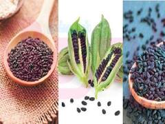 எள் சாகுபடி மேற்கொள்ள வேண்டிய தொழில்நுட்பங்கள் - விவசாயிகளுக்கு வேளாண் அதிகாரி ஆலோசனை