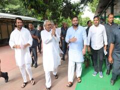 CM नीतीश कुमार और तेजस्वी यादव ने बताई अपनी संपत्ति, जानिए तेज प्रताप यादव के पास है कितना नकद