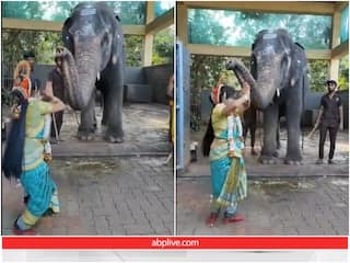 Viral Video: युवती ने हाथी के सामने सिर झुका कर किया डांस, खुश हुए गजराज ने दिया आशीर्वाद
