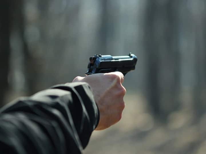 Mahoba Crime News: महोबा में नीले हिरण के शिकारियों ने गर्भवती महिला को मारी गोली, मां-बच्चे की हालत गंभीर Mahoba Crime blue deer hunters shot pregnant woman mother and child condition critical in up Mahoba Crime News: महोबा में नीले हिरण के शिकारियों ने गर्भवती महिला को मारी गोली, मां-बच्चे की हालत गंभीर