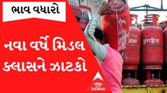 LPG Price Hike:  નવા વર્ષના પહેલા દિવસે મધ્યમવર્ગને મળ્યો શોક.. LPG ગેસ સિલિન્ડરના ભાવમાં થયો વધારો