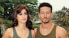 Yo Yo Honey Singh से लेकर Tiger Shroff तक, इन Celebs ने 2022 में झेला Breakup का दर्द! ENT LIVE