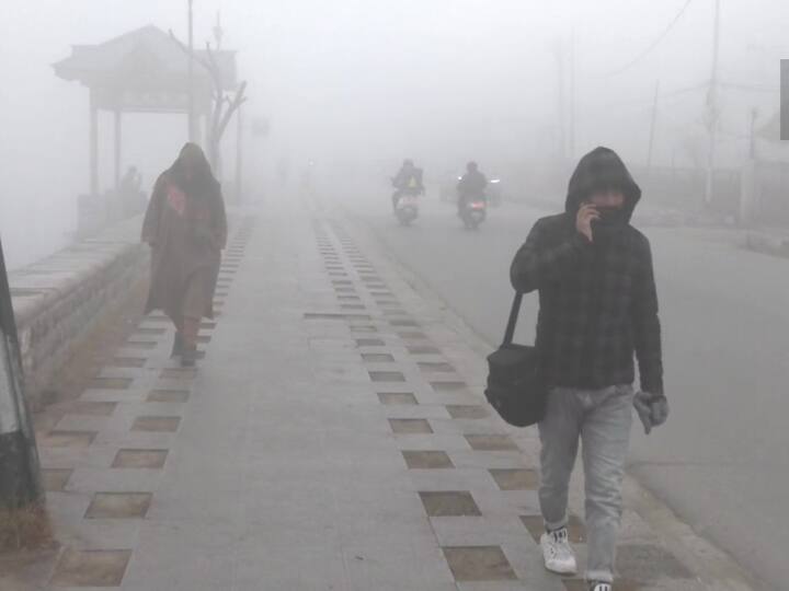 Weather News: नए साल में भी कड़ाके की ठंड से नहीं मिलेगी राहत, दिल्ली में जारी रहेगी शीतलहर- जानें देशभर में कैसा रहेगा मौसम का मिजाज India Weather IMD Forecast Snowfall Delhi Winter Season Cold Wave Update Weather News: नए साल में भी कड़ाके की ठंड से नहीं मिलेगी राहत, दिल्ली में जारी रहेगी शीतलहर- जानें देशभर में कैसा रहेगा मौसम का मिजाज