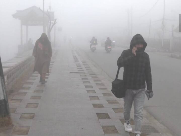 Trending News: There will be no respite from severe cold even in the new year, cold wave will continue in Delhi