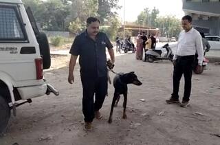 CRIME NEWS: થર્ટી ફર્સ્ટની રાત્રીએ અમદાવાદમાં ખેલાયો ખુની ખેલ, યુવકની હત્યા કરી લાશને દૂર ફેંકી દેવામાં આવી