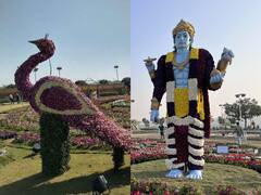 The Magnificient Flower Show At Ahmedabad Begins Today. See Pics