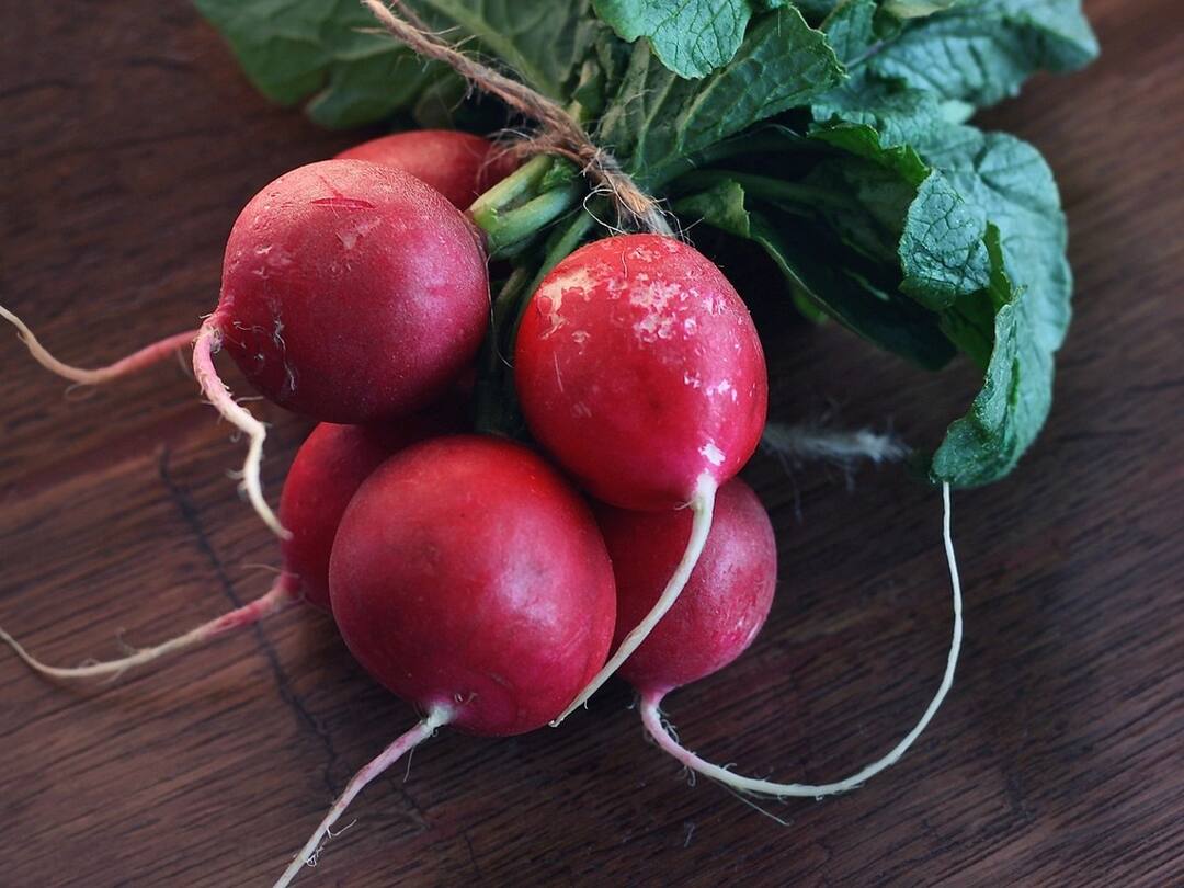 Health Benefits Of Eating Radish In Tamil See In Pics Health Benefits