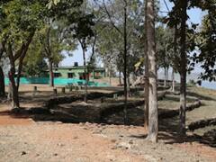 बाघों के आराम में खलल डाल रहे पर्यटक, बंद होंगे मढ़ई और चूरना के रेस्ट हाउस