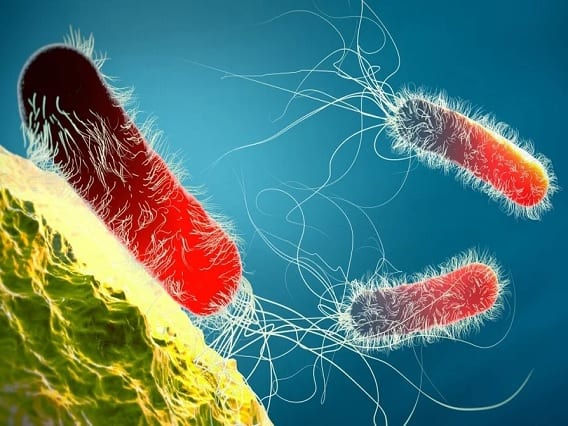 Superbug : Will Become the Second Biggest Threat after Corona in 2023, Can Kill 10 Million People Superbug : 2023માં હાહાકાર મચાવશે 'સુપરબગ', મોતના ખપ્પરમાં હોમાઈ શકે છે 1 કરોડ લોકો