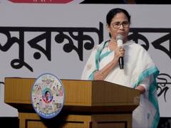 দলে দুর্নীতির কথা মেনে নিলেন মমতা? 'ধানে পোকা লাগা'র মন্তব্যে বিতর্ক