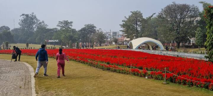 मावठे की बारिश के इस दौर के गुजरने के बाद न्यूनतम तापमान फिर नीचे आएगा. पूर्वानुमान है कि जनवरी में बेहद कड़ाके की ठंड पड़ सकती है.