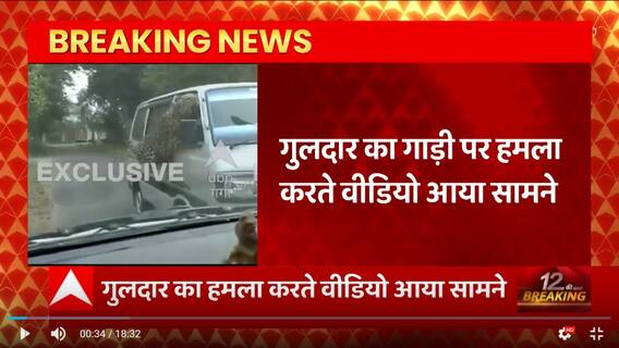 Dehradun : चलती गाड़ी पर गुलदार के हमले का LIVE Video देख घबरा जाएंगे !