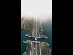 ব্রিজ থেকে যানবাহন উধাও হয়ে যাচ্ছে জলের তলায়, নেদারল্যান্ডসের 'রিভার্স ব্রিজ'- এর ভিডিও ভাইরাল