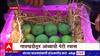 First Alphanso Mango Ratnagiri : 20 हजार रुपये पेटी, रत्नागिरीहून हापूसची पहिली पेटी पुण्याला रवाना
