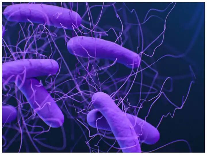 Superbug: Climate change is making Superbugs more dangerous, slight infection will also start taking life, 13 lakh deaths occur every year Superbug: સુપરબગ્સને વધુ ખતરનાક બનાવે છે આબોહવા પરિવર્તન, થોડો ચેપ પણ લઈ લેશે જીવ, દર વર્ષે 13 લાખ મોત થાય છે