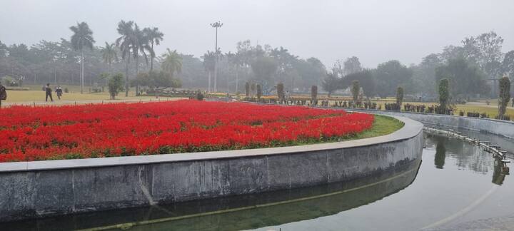 वहीं सोमवार की सुबह जबलपुर और आसपास के इलाकों में घना कोहरा छाया था. यहां विजिबिलिटी बेहद कम थी. हवा की गति भी 16 किलोमीटर प्रति घंटे से ज्यादा रिकॉर्ड की गई. सर्द हवाओं के कारण ठंड ज्यादा महसूस हो रही थी. इसका असर लोगों की आम दिनचर्या पर भी पड़ा. लोग गाड़ियों की लाइट जला कर सड़क पर चल रहे थे.
