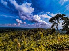 त्रिपुरा का नया टूरिस्ट स्पॉट बनकर उभर रहा 'मोंतांग', दूर-दूर से देखने आ रहे लोग
