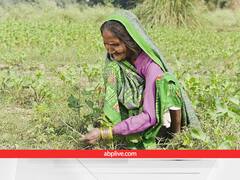 Success Story: 85 साल की फूलमती ने साबित किया खेती के लिए उम्र मौहताज नहीं, इस ट्रिक से किया रिकॉर्ड उत्पादन