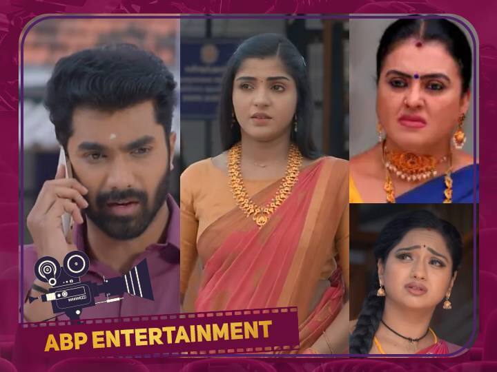 zee tamil maari serial today 143 episode highlights Maari: சூர்யாவுக்கு ஜாஸ்மினை திருமணம் செய்து வைக்க முயற்சிக்கும் தாரா.. எதிர்பார்ப்பு நடக்குமா?