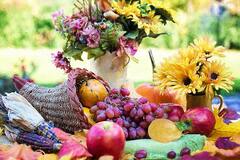 Grapes Benefits : திராட்சை சாப்பிட்டால் இவ்வளவு நன்மைகள் கிடைக்குமா?