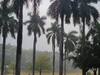 MP Weather Report: नए साल में मध्य प्रदेश में हो सकती है बारिश, न्यूनतम तापमान में आई गिरावट