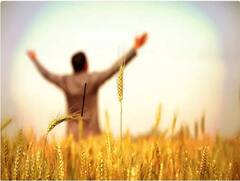 New Year 2023 : ਕਿਸਾਨਾਂ ਦੀ ਸੁੱਤੀ ਕਿਸਮਤ ਨੂੰ ਜਗਾਉਣ ਵਾਲਾ ਹੈ ਨਵਾਂ ਸਾਲ , ਜੇ ਇਨ੍ਹਾਂ ਗੱਲਾਂ ਵੱਲ ਧਿਆਨ ਦਿਓਗੇ ਤਾਂ ਤੁਹਾਡੀ ਆਮਦਨ ਹੋ ਜਾਵੇਗੀ ਦੁੱਗਣੀ