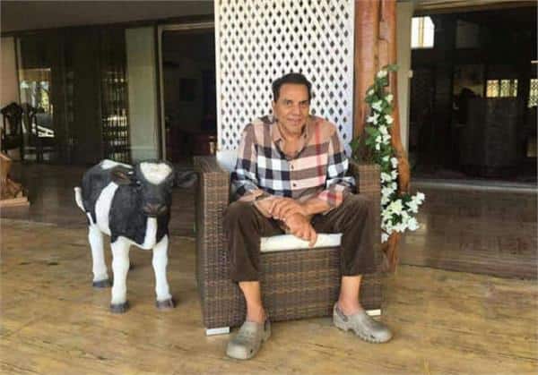 धर्मेंद्र सोशल मीडिया पर काफी एक्टिव रहते हैं. जहां वो फैंस के साथ अपनी लाइफ की हर अपडेट को शेयर करते हैं.