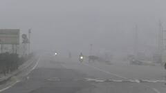 In Pics: भरतपुर में घने कोहरे के चलते थमी वाहनों की रफ्तार, मौसम विभाग ने 9 जिलों में जारी किया शीतलहर का यलो अलर्ट