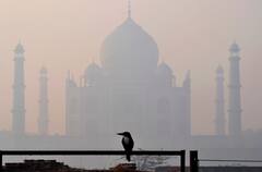 Cold Wave: জবুথবু গোটা উত্তর, ঠান্ডার আমেজে মানালিতে শুরু কার্নিভাল