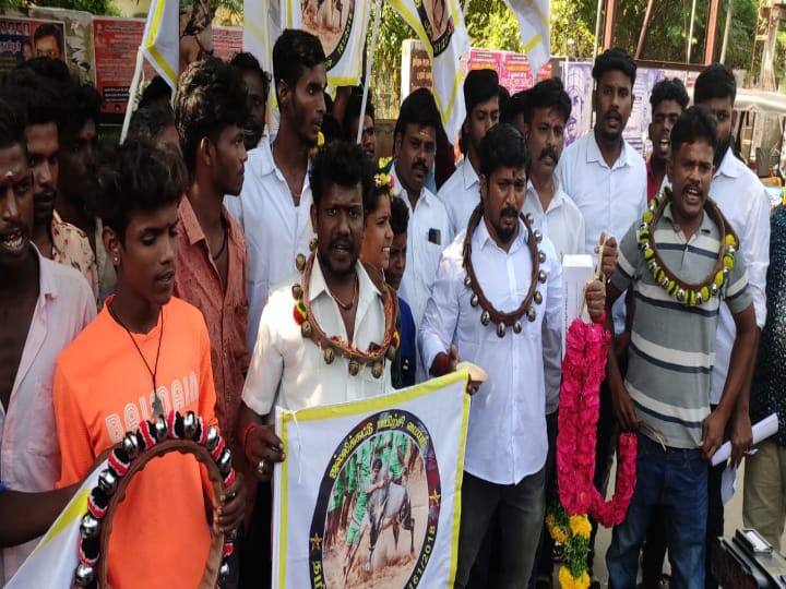 Tamil Nadu government should give permission to wear neck bells, sandalwood and kumkum for bull ஜல்லிக்கட்டில் காளைகளுக்கு சந்தனம், குங்குமம் பூச அனுமதிக்க வேண்டும் - உரிமையாளர்கள் ஆர்ப்பாட்டம்