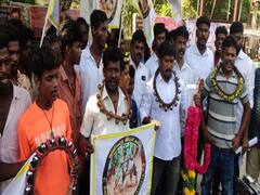 ஜல்லிக்கட்டில் காளைகளுக்கு சந்தனம், குங்குமம் பூச அனுமதிக்க வேண்டும் - உரிமையாளர்கள் ஆர்ப்பாட்டம்