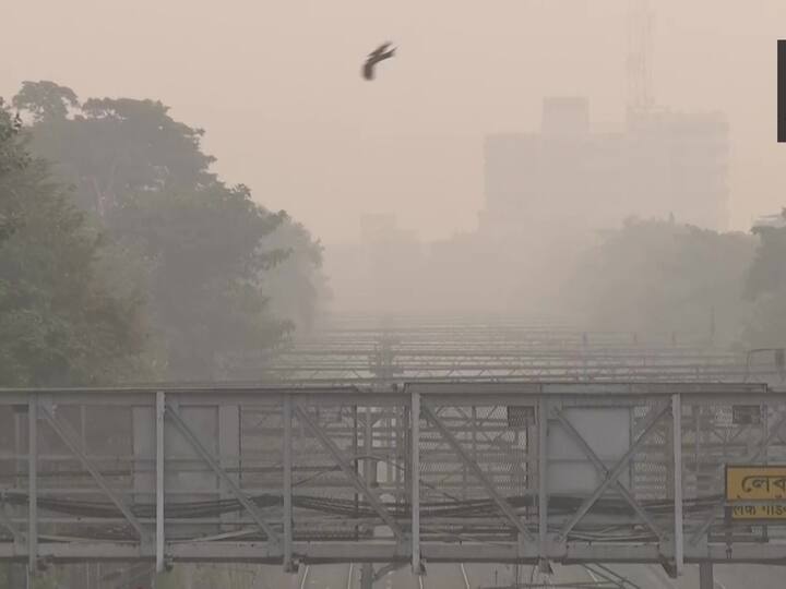 The temperature of Kolkata stood at 22 degrees Celsius this morning. Usually, the fog with the pollutants in the air causes the visibility to drop even further. (Image Source: ANI)