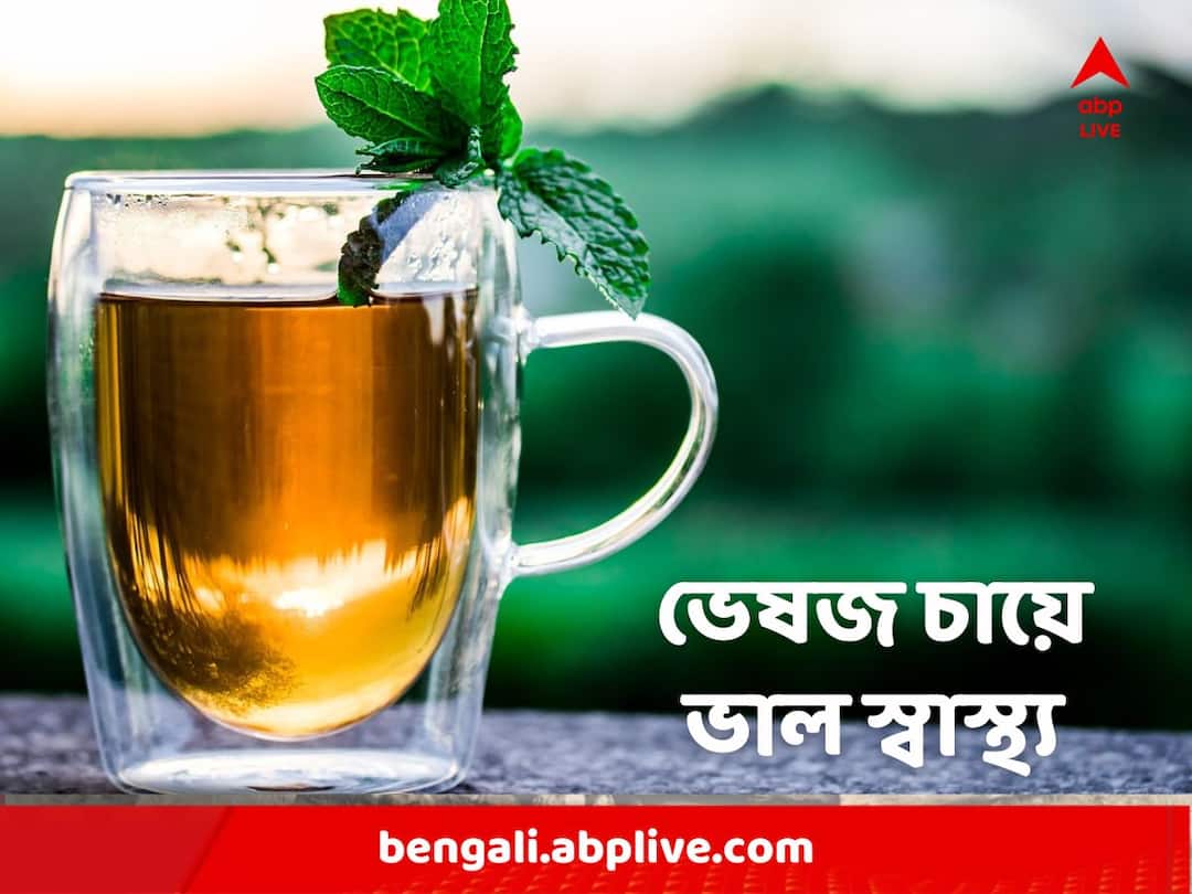 Herbal Tea: ভেষজ চায়ে লুকিয়ে হরেকরকম পুষ্টিগুণ? কীভাবে মিলবে উপকার? Herbal Tea, Can help to keep healthy Skin And Hair, know in details Herbal Tea: ভেষজ চায়ে লুকিয়ে হরেকরকম পুষ্টিগুণ? কীভাবে মিলবে উপকার?
