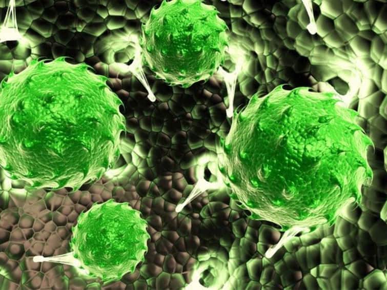 Superbugs Will Become second biggest threat after Coronavirus in 2023 can kill 10 million people in year know in detail Superbugs: ముంచుకొస్తున్న మరో మహమ్మారి, ఏటా కోటి మందిని బలి తీసుకుంటుందట!