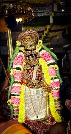 ஸ்ரீரங்கம் கோவிலில் சொர்க்கவாசல் திறப்பு, பக்தர்களுக்கு அருள்பாலித்த ரங்கநாதர்!