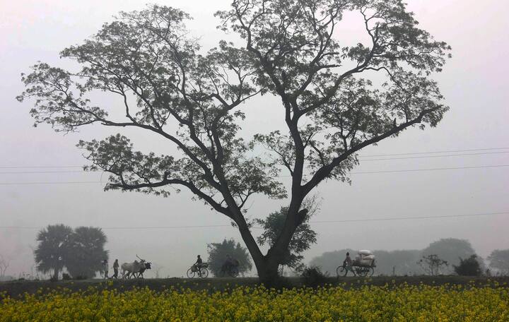 West Bengal Winter Update: বৃহস্পতিবার থেকেই হাওয়া বদল রাজ্যে, হু হু করে নামবে তাপমাত্রা