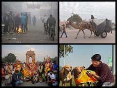 Cold Waves And Dense Fog Engulfs Entire Country -- SEE PICS